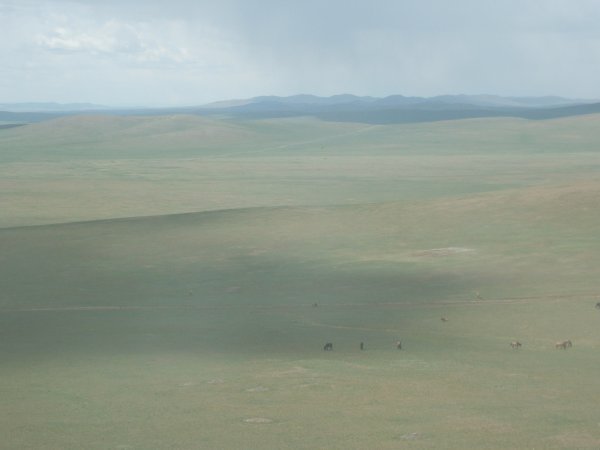 Mongolian Steepes 7