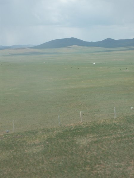 Mongolian Steepes 9