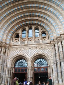 National History Museum 3