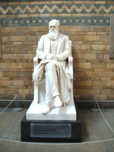 Statue Of Charles Darwin