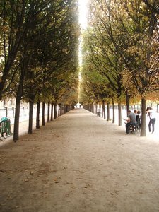 Jardin Des Palais Royal