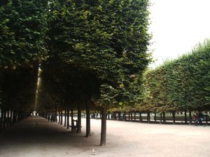 Jardin Des Palais Royal 2