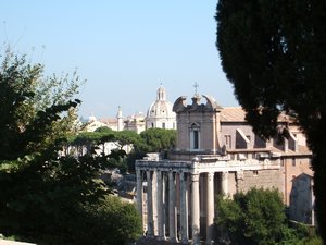 Roman Forum 4