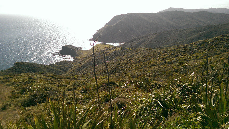 Cape Reinga 2