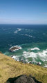 Cape Reinga - Where 2 Seas Meet