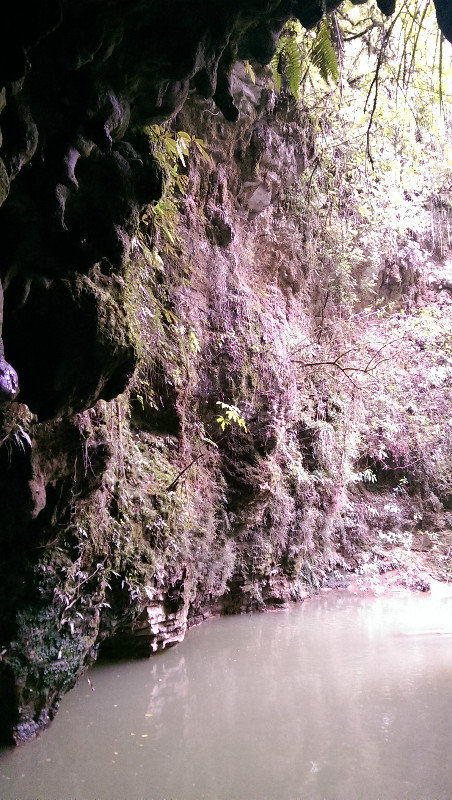 Waitomo Caves 3