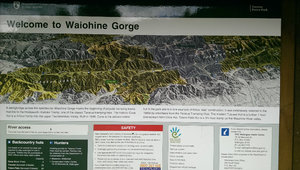 Waiohine Gorge Campsite 1