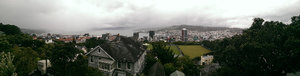 Wellington Panorama 1