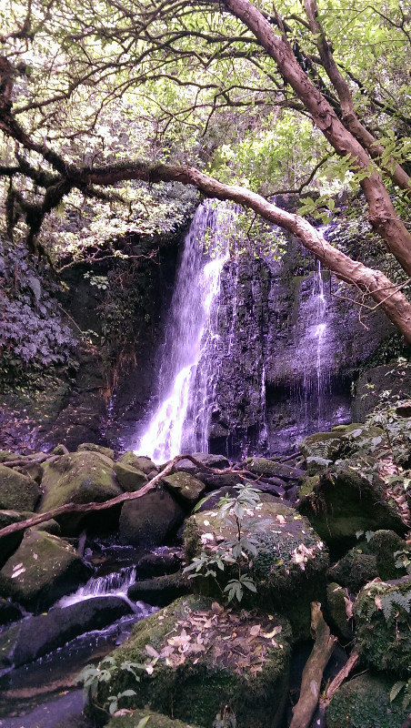 Matai Falls 1