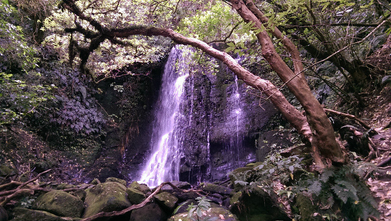 Matai Falls 2