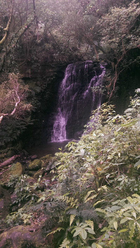 Matai Falls 3