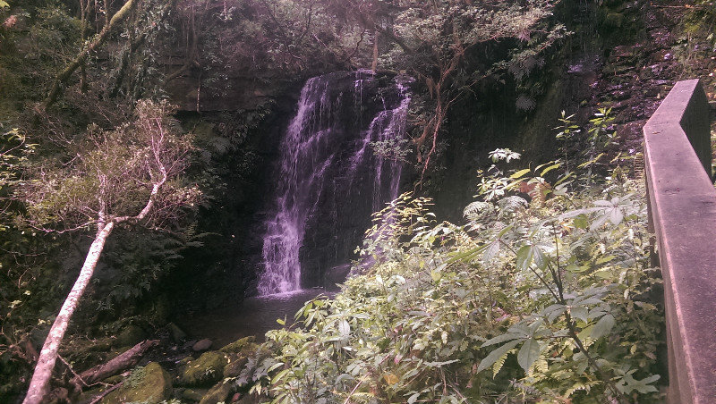 Matai Falls 4