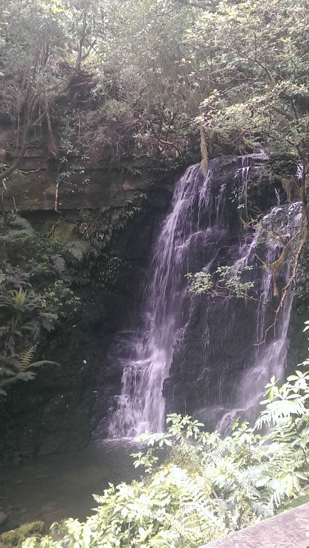 Matai Falls 5