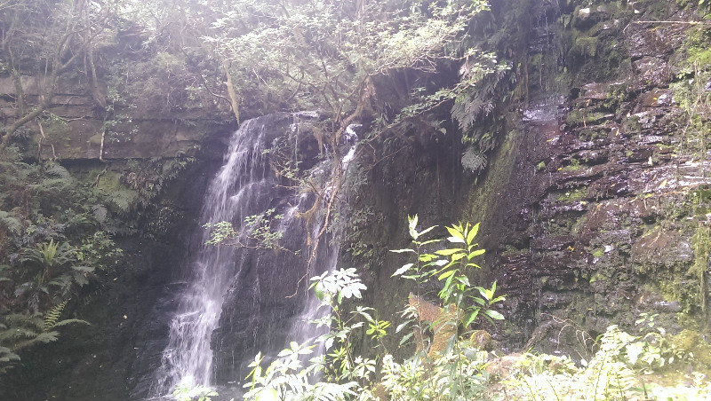 Matai Falls 6