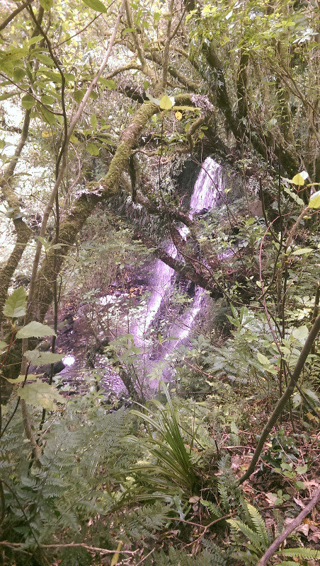 Matai Falls 8