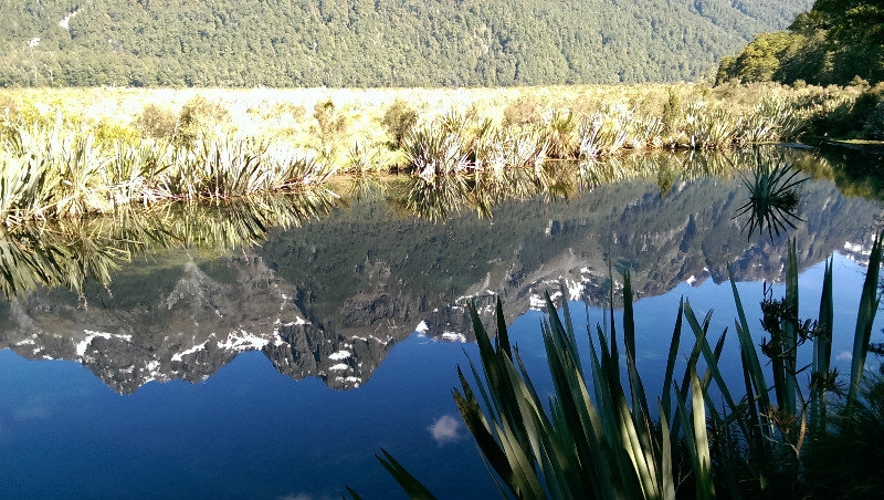 Milford Sound - Mirror Lakes 7
