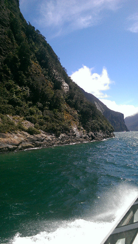 Milford Sound 13