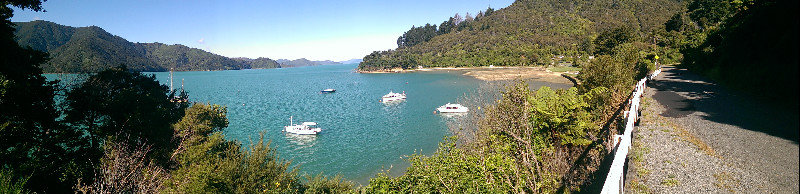 Queen Charlotte Sound Panorama