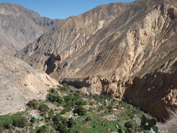 On our way to the oasis in Colca Canyon