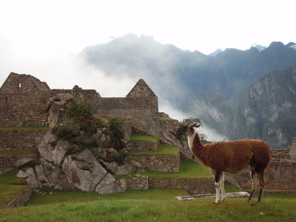 6.15am Machu Picchu