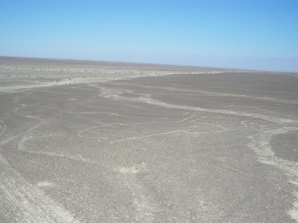 Nazca Lines at the Mirador