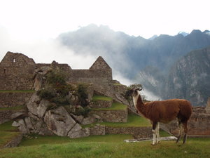 6.15am Machu Picchu