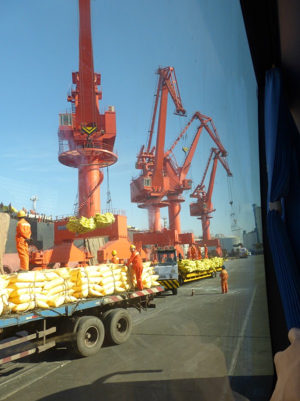 Docks at Qingdao