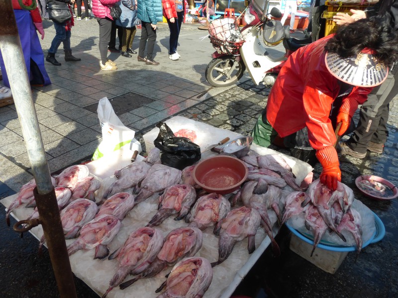Woman Sorting Fish