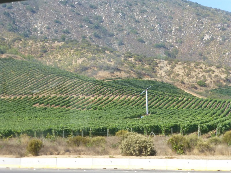5 Vineyards between Valparaiso and Santiago