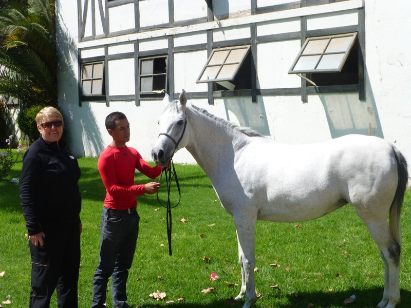 5b Jean, Jose and a racehorse