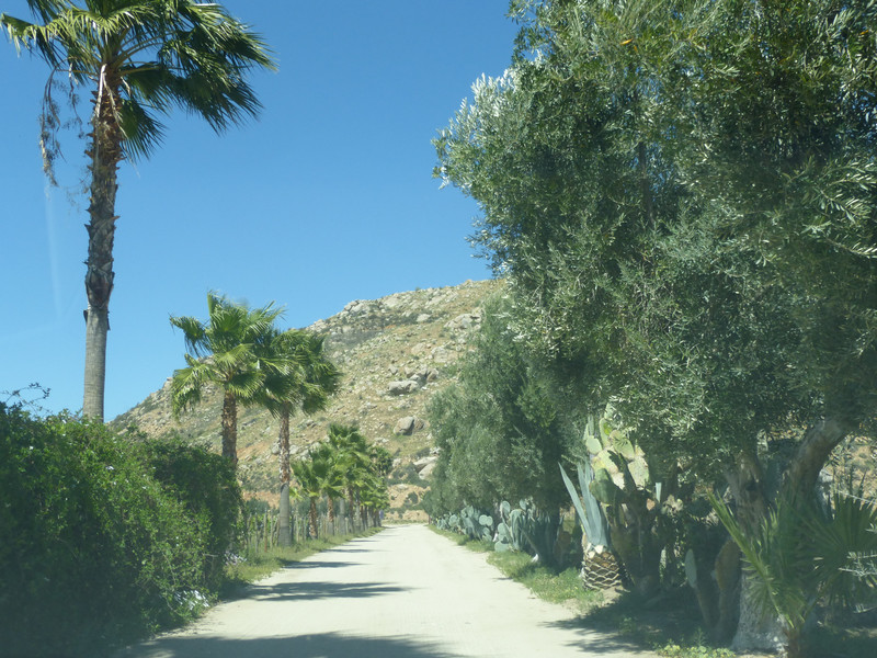 4 Driving in to L.A. Cetto