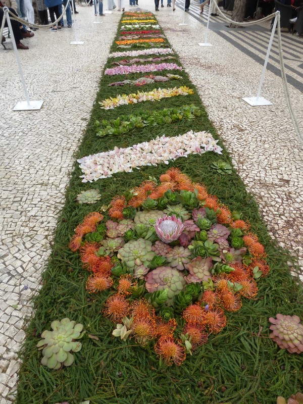 7. Flower Carpet