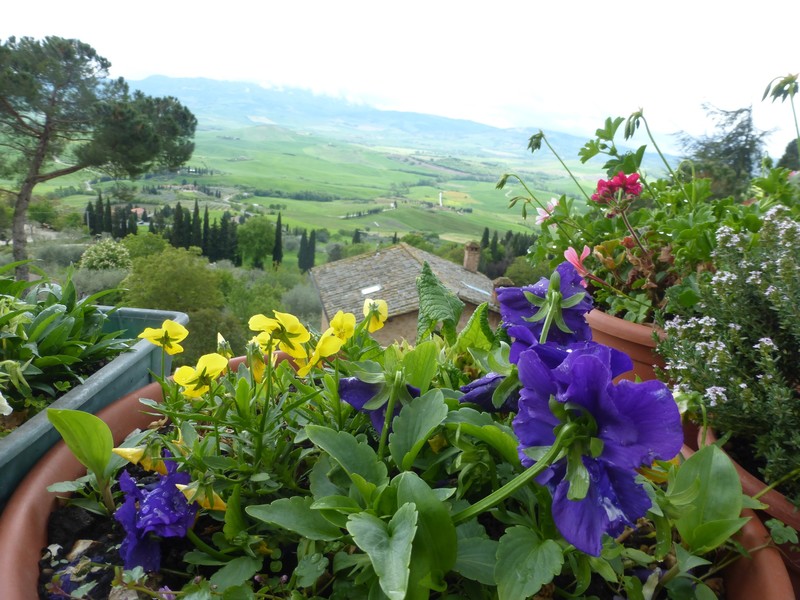 The Val D'Orcia from the walk by the church