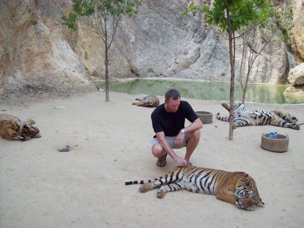 Jim and the friendly tigers