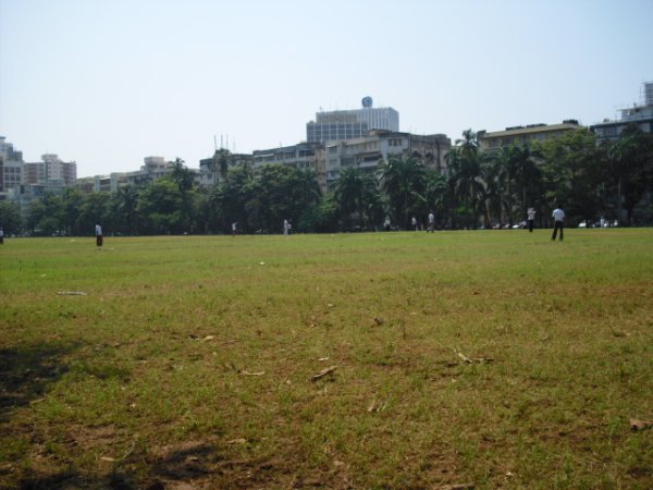 Oval grounds