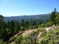 On the Panoramic Trail at Muir Woods