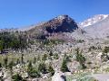 At the tree line on Mt Shasta