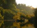 Evening light on the Russian River