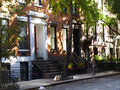 Shady brownstones in Greenwich Village