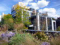 Regeneration along the High Line