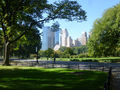 Glorious Central Park