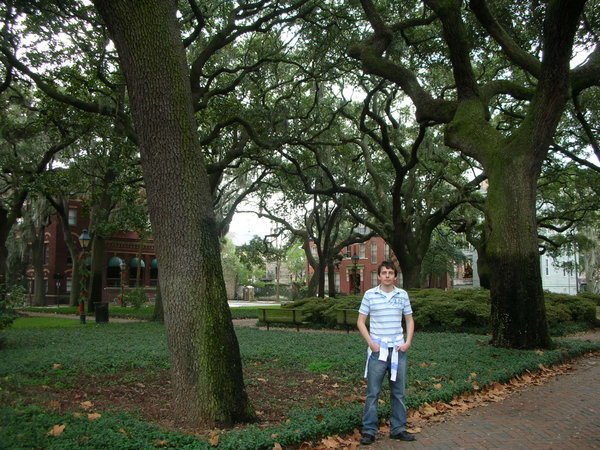 Tree-lined square, Savannah