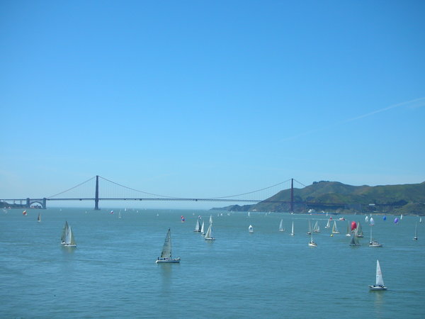 The bay