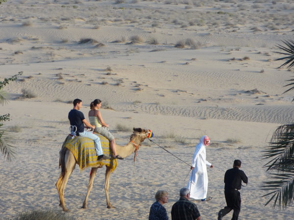 Camel - Desert - I know..