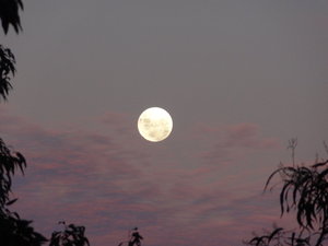 The Moon rising over Kalamunda