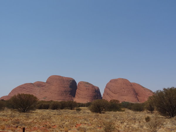 The Olgas