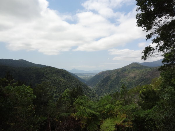 The Rainforest hills around Cairns