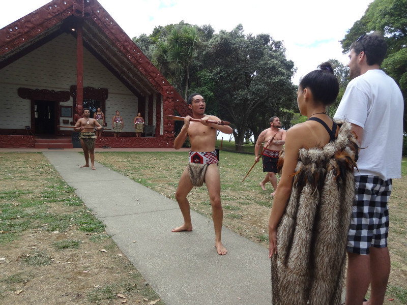 Waitangi Treaty Grounds - This is how they welcome visitors!