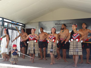 Wkakarewarewa - Waitangi Day