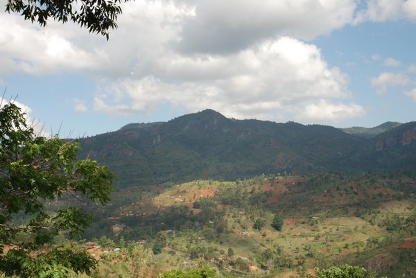 Usambara Mountains